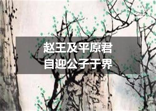 赵王及平原君自迎公子于界