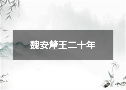 魏安釐王二十年
