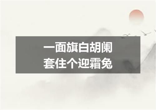 一面旗白胡阑套住个迎霜兔