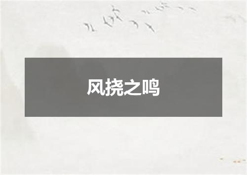 风挠之鸣