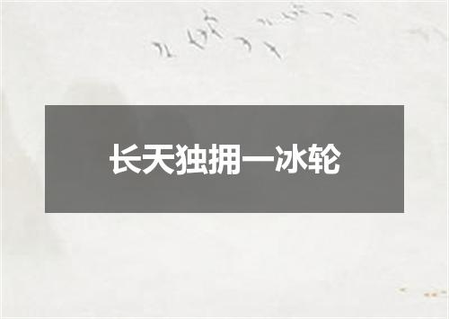 长天独拥一冰轮