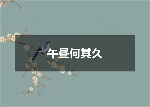 午昼何其久