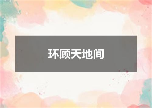 环顾天地间