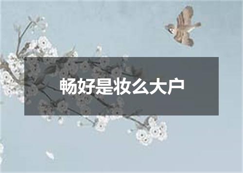畅好是妆么大户