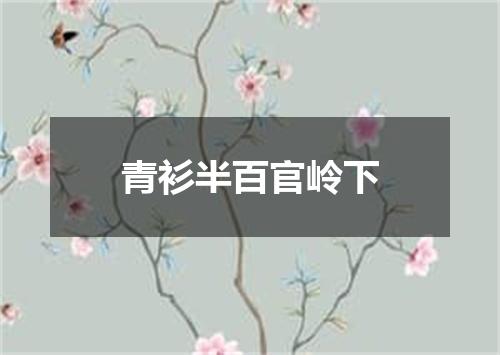 青衫半百官岭下