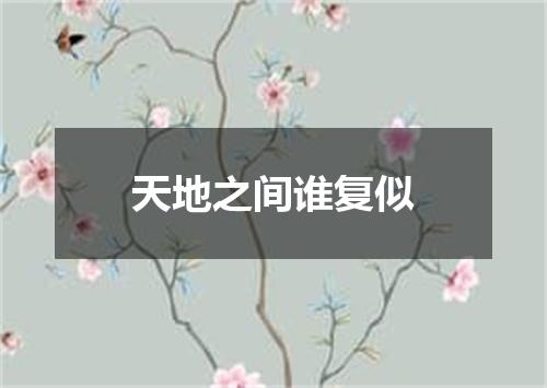 天地之间谁复似