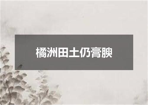 橘洲田土仍膏腴