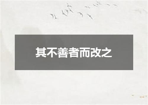 其不善者而改之