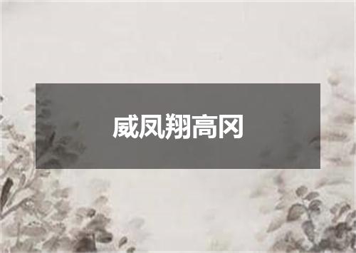 威凤翔高冈