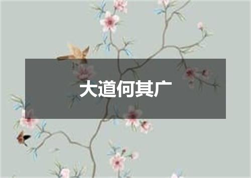 大道何其广