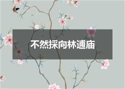 不然採向林逋庙