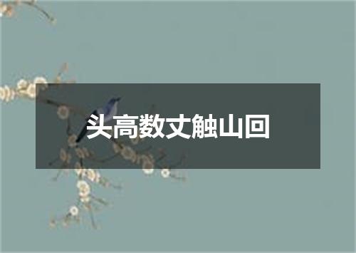 头高数丈触山回
