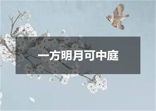 一方明月可中庭