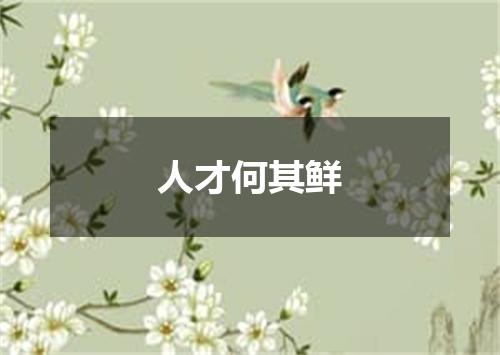 人才何其鲜