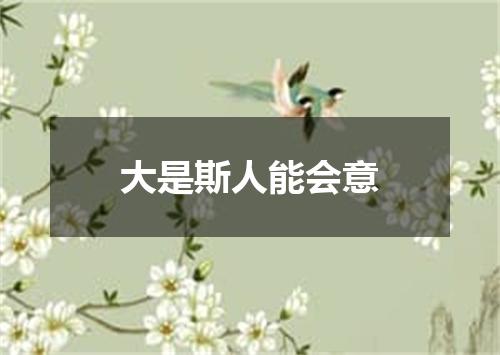 大是斯人能会意