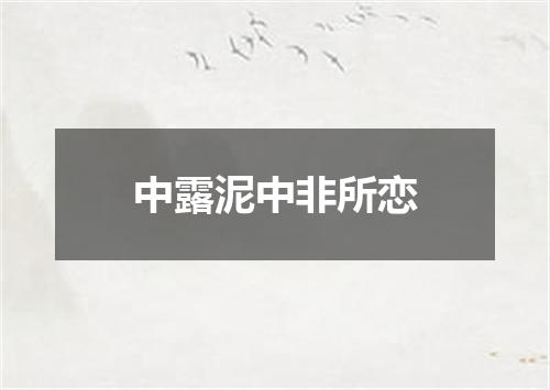 中露泥中非所恋