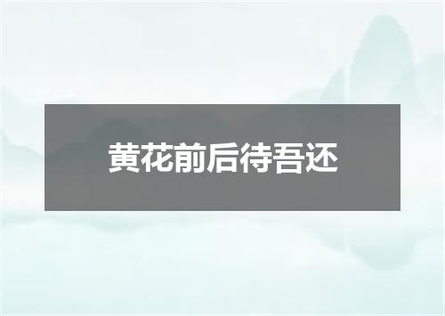 黄花前后待吾还