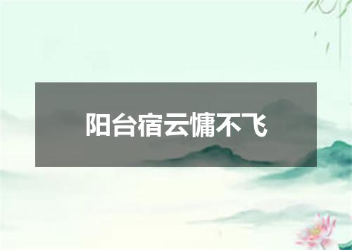 阳台宿云慵不飞