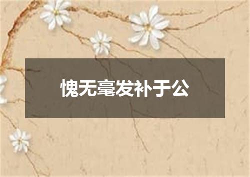 愧无毫发补于公