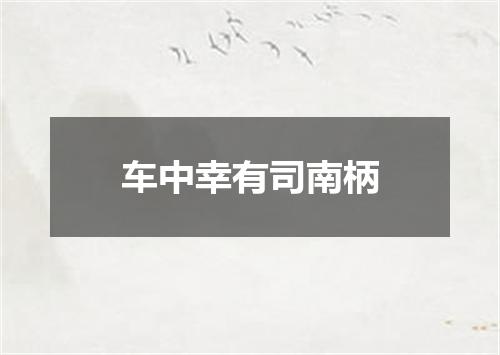 车中幸有司南柄