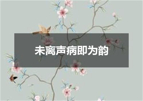 未离声病即为韵