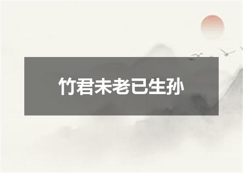 竹君未老已生孙