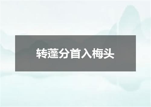 转蓬分首入梅头