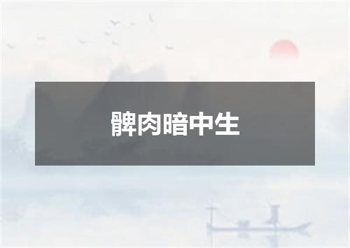 髀肉暗中生