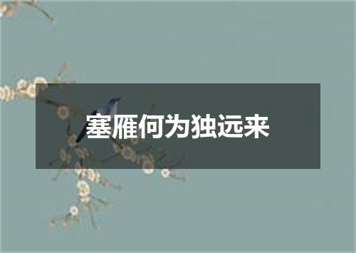 塞雁何为独远来