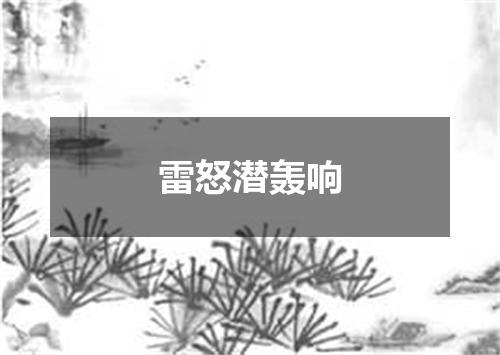 雷怒潜轰响