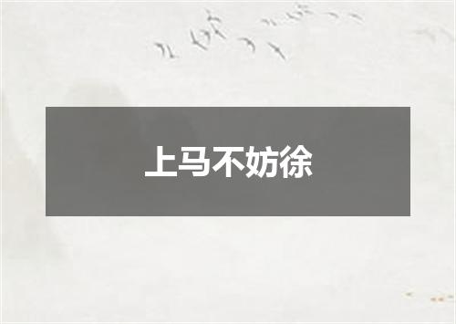 上马不妨徐