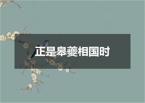 正是皋夔相国时