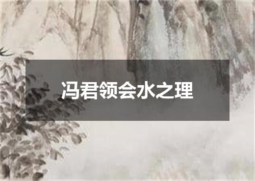 冯君领会水之理