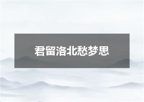 君留洛北愁梦思