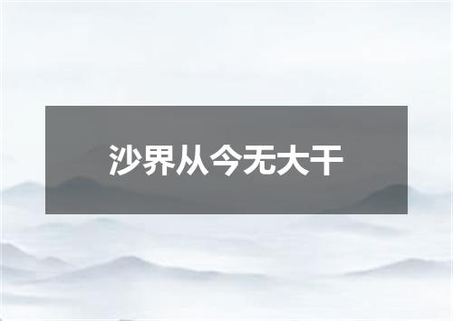 沙界从今无大干