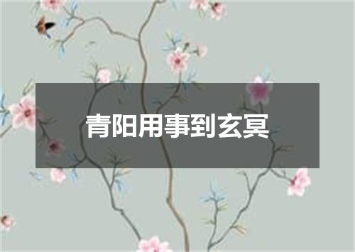 青阳用事到玄冥