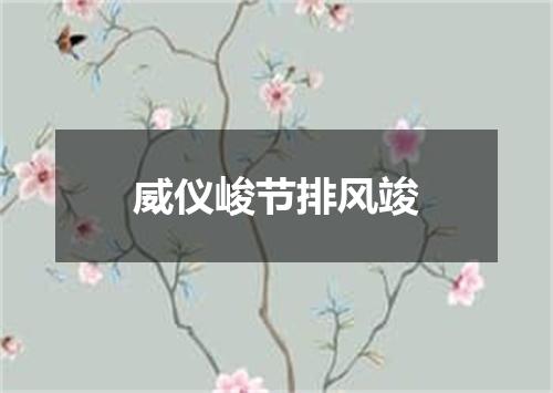 威仪峻节排风竣