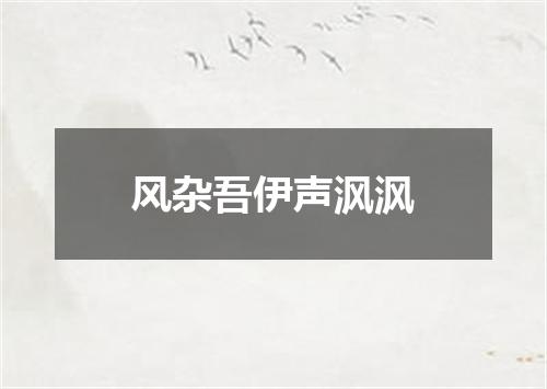 风杂吾伊声沨沨