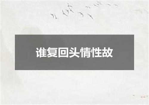 谁复回头情性故