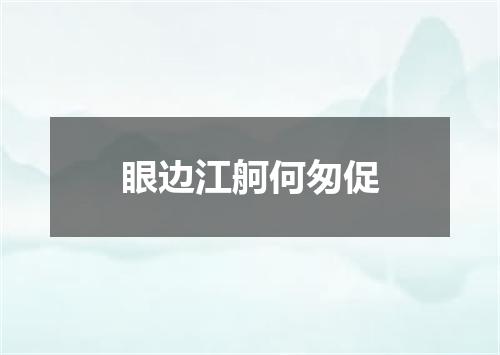 眼边江舸何匆促