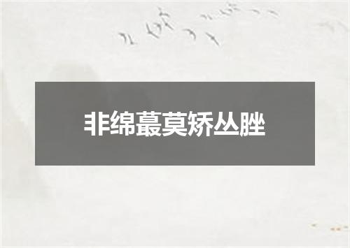 非绵蕞莫矫丛脞
