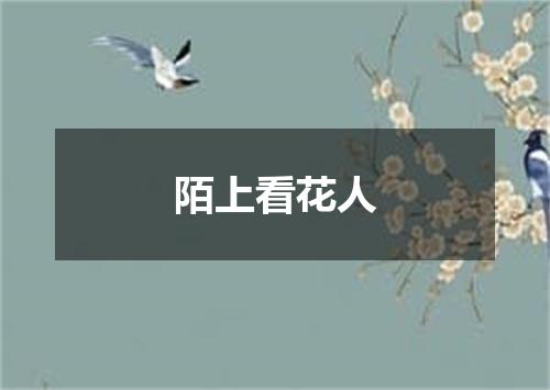 陌上看花人