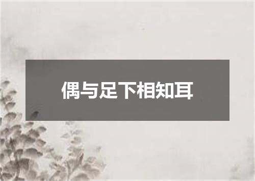 偶与足下相知耳