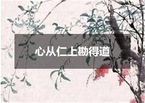心从仁上勘得道