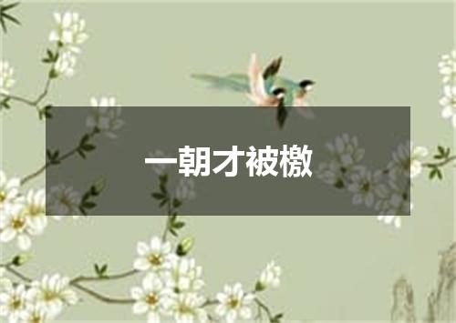 一朝才被檄