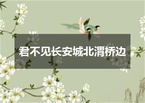 君不见长安城北渭桥边