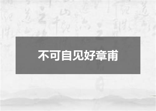 不可自见好章甫