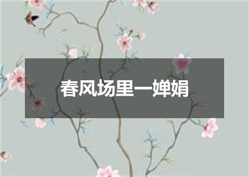 春风场里一婵娟