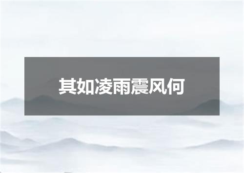 其如凌雨震风何