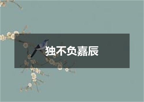 独不负嘉辰